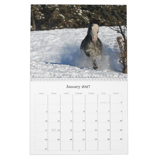 Pferdeartige Bilder 2011 Kalender (Jan 2027)