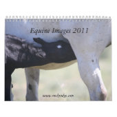 Pferdeartige Bilder 2011 Kalender (Titelbild)