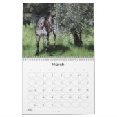 Pferdeartige Fantasie 2013 Kalender (Mär 2027)