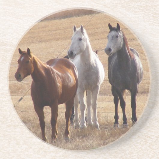 Pferdeartige Neugier 3 Getränkeuntersetzer (Vorne)