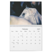 Pferdeartiger 2011 Kalender #1 (Feb 2027)