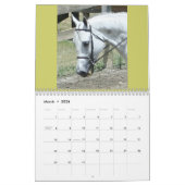 Pferdeartiger Kalender (Mär 2026)