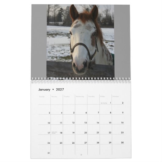 Pferdeartiger Kalender (Jan 2027)