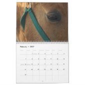 Pferdeartiger Kalender (Feb 2027)