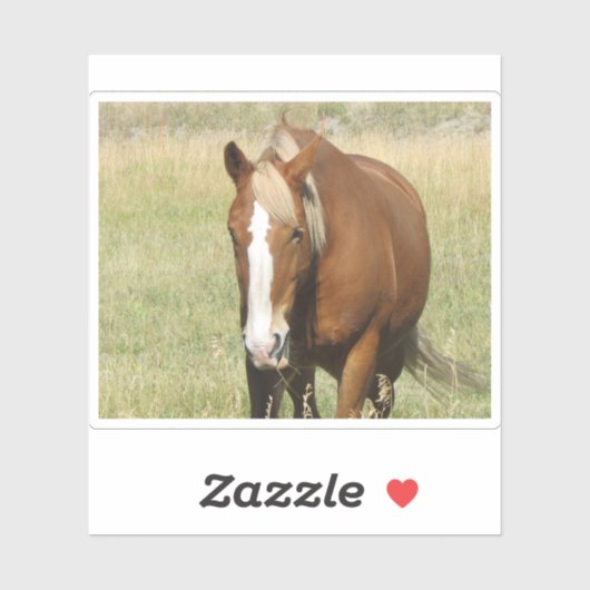 Pferdeaufkleber Aufkleber (Blatt)