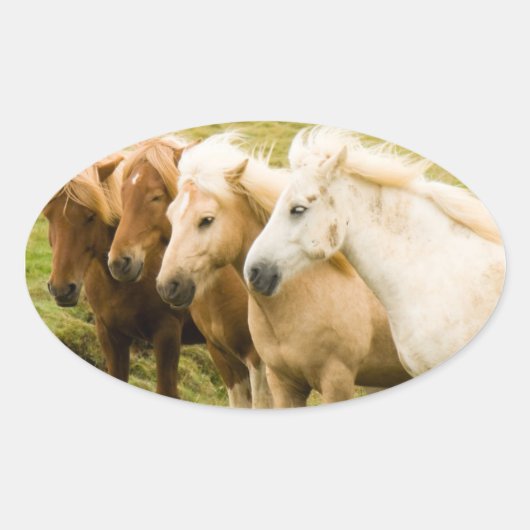 Pferdeaufkleber Ovaler Aufkleber (Vorderseite)