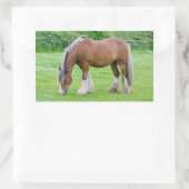Pferdeaufkleber Rechteckiger Aufkleber (Tasche)