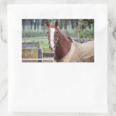Pferdeaufkleber Rechteckiger Aufkleber (Tasche)