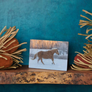 Pferdeauftrieb im Winter auf der Hideout Ranch Fotoplatte