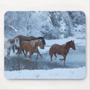 Pferdeauftrieb im Winter Mousepad
