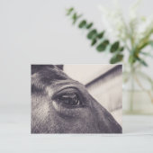 Pferdeauge 001 postkarte (Stehend Vorderseite)