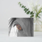 Pferdeauge II Postkarte (Stehend Vorderseite)
