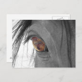 Pferdeauge II Postkarte (Vorne/Hinten)