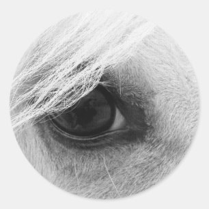 Pferdeauge in Schwarzweiss Runder Aufkleber