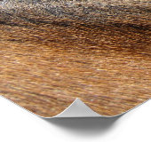 Pferdeauge Poster (Ecke)