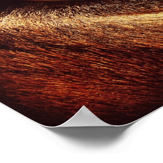 Pferdeauge Poster (Ecke)