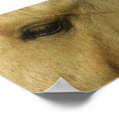 Pferdeauge Poster (Ecke)