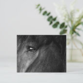 Pferdeauge Postkarte (Stehend Vorderseite)