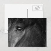 Pferdeauge Postkarte (Vorne/Hinten)