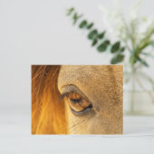 Pferdeauge Postkarte (Stehend Vorderseite)