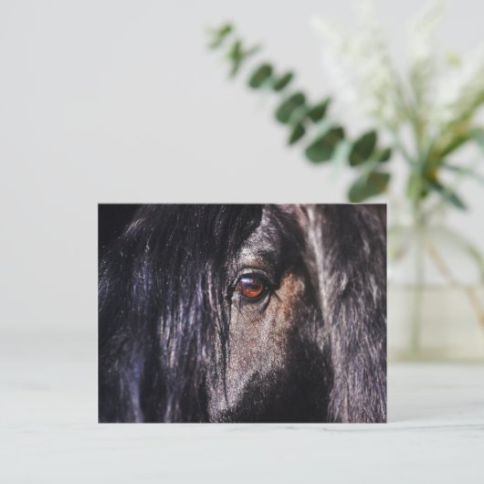Pferdeauge Postkarte (Stehend Vorderseite)