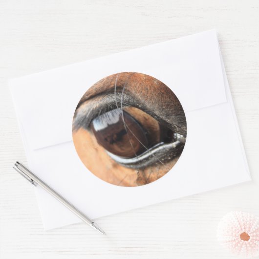 Pferdeauge Runder Aufkleber (Umschlag)