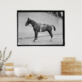 Pferdeausstellung 1912 poster (Küche)