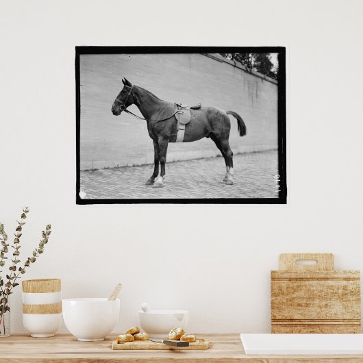 Pferdeausstellung 1912 poster (Küche)