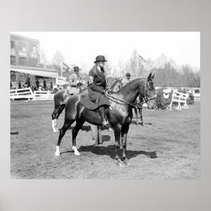 Pferdeausstellung, 1914 poster