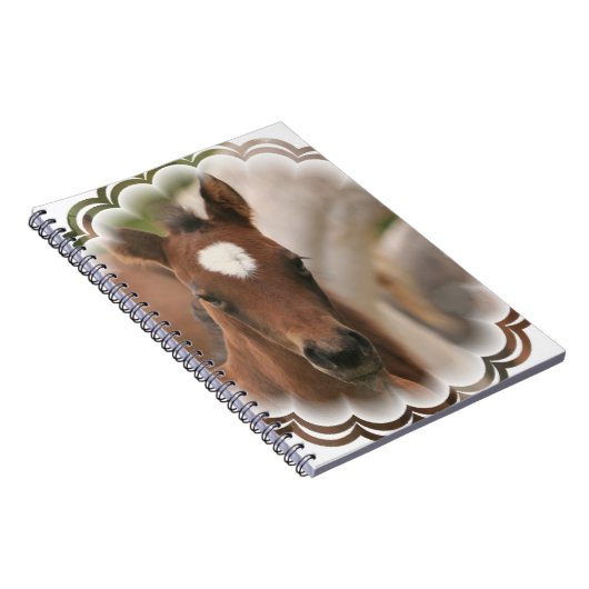 Pferdebaby-Notizbuch Notizblock (Rechte Seite)