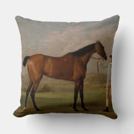 Pferdebauernhof-Ranchfahrt trägt pferdeartiges Kissen