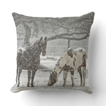 Pferdebauernhof-Ranchfahrt trägt pferdeartiges