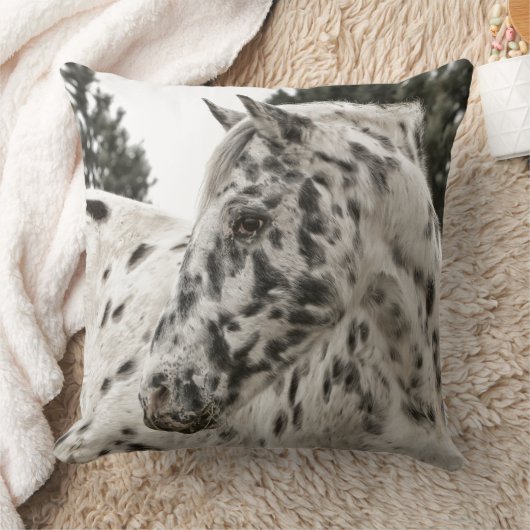 Pferdebauernhof-Ranchfahrt trägt pferdeartiges Kissen (Decke)