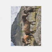 Pferdebestand, in der Nähe von Hofn, Island Fleecedecke (Vorderseite)