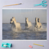 Pferdebestandspapier Seidenpapier (Basteln)