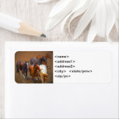 Pferdebezeichnungen (Insitu)