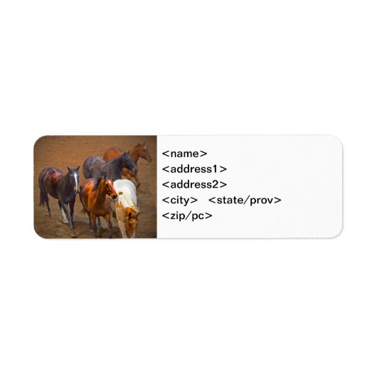 Pferdebezeichnungen (Vorne)