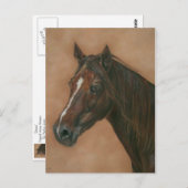Pferdebild des kastanienbraunen Pferdes Postkarte (Vorne/Hinten)