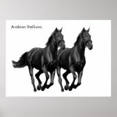 Pferdebild für Poster (Vorne)