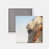 Pferdebrille Magnet (Vorderseite/Rückseite)