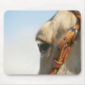 Pferdebrille Mousepad (Vorne)