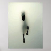 Pferdebruch durch Nebel Poster (Vorne)