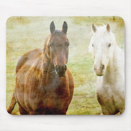 Pferdebuddies Mousepad (Vorne)