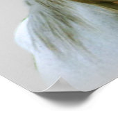 Pferdebuddies-Poster Poster (Ecke)