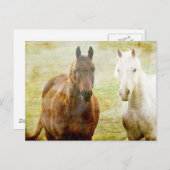 Pferdebuddies Postkarte (Vorne/Hinten)