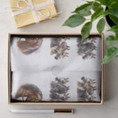 Pferdedarstellungen mit zwei langen Reihen Seidenpapier (Geschenk)