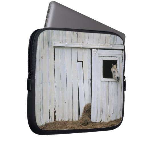Pferdedas haften gehen heraus Scheunen-Fenster Laptopschutzhülle (Vorne Rechts)