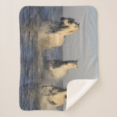 Pferdedecke Sherpadecke (Vorderseite)