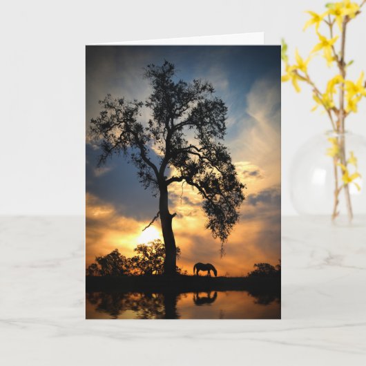 Pferdeeiche Beileid Eichenbaum und Wasser Karte (Gelbe Blume)