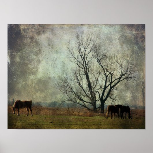 Pferdeentwurf auf dem Feld Poster (Vorne)